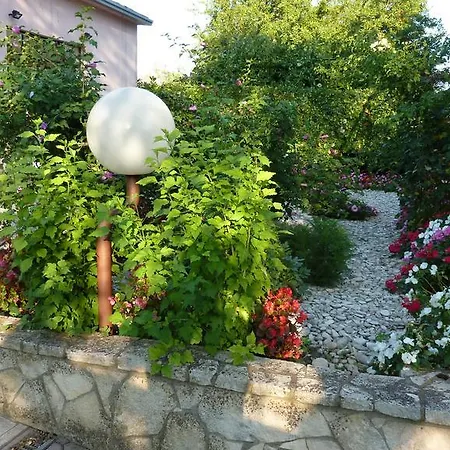Rose Apartment Pula