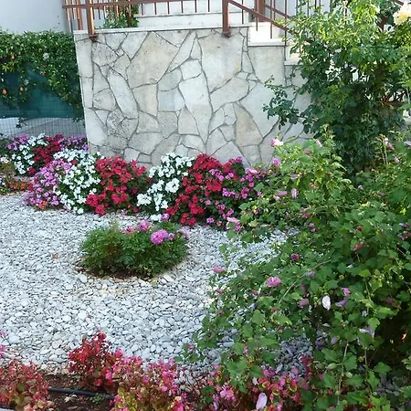 Rose Pula