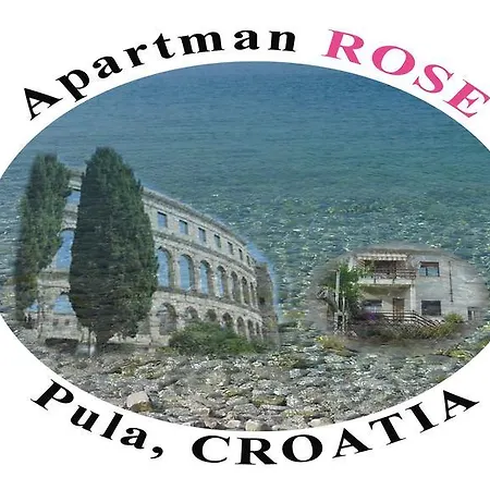 Rose * Pula
